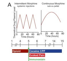 Gut microbiome figure 1